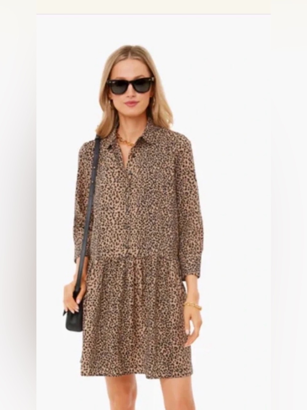 Tuckernuck Leopard Print Hayes mini dress - large